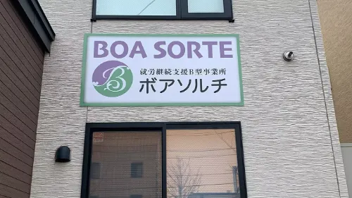 ボアソルチ_1